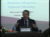 Lehlimi-Réunion d'experts-cohésion sociale-13.4.2011.mpg