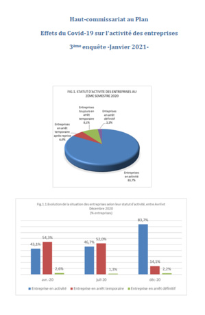 Effets du Covid-19 sur l’activité des entreprises 3ème enquête -Janvier 2021-