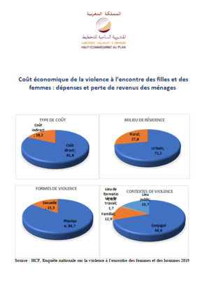 Coût économique de la violence à l’encontre des filles et des femmes : dépenses et perte de revenus des ménages