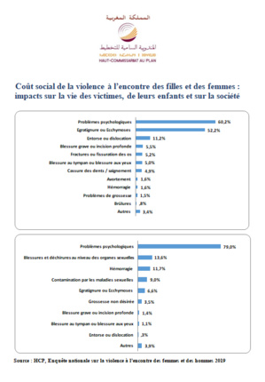 Coût social de la violence à l’encontre des filles et des femmes : impacts sur la vie des victimes, de leurs enfants et sur la société Coût social de la violence à l’encontre des filles et des femmes : impacts sur la vie des victimes, de leurs enfants et sur la société