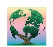 La Comptabilité environnementale La Comptabilité environnementale