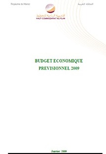 Budget économique prévisionnel 2009