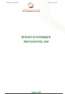 Budget économique prévisionnel 2009 Budget économique prévisionnel 2009