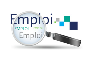 Note d'information relative aux principales caractéristiques de la population active occupée en 2021 Note d'information relative aux principales caractéristiques de la population active occupée en 2021