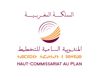 Intégration des TIC au niveau entreprises au Maroc