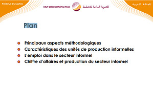 Enquête nationale sur le secteur informel 2007. Principaux résultats (Présentation) 