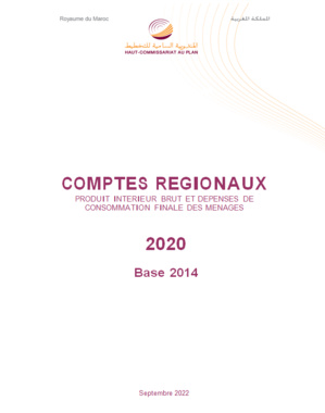 Les comptes régionaux. Produit intérieur brut et dépenses de consommation finale des ménages 2020