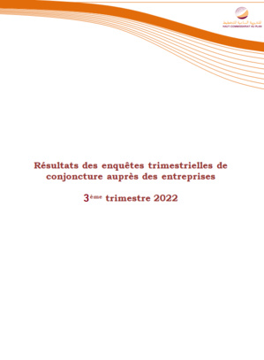 Résultats des enquêtes trimestrielles de conjoncture auprès des entreprises, 3ème trimestre 2022 Résultats des enquêtes trimestrielles de conjoncture auprès des entreprises, 3ème trimestre 2022
