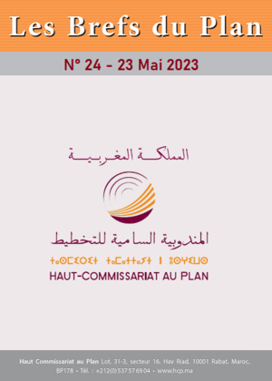 Les brefs du plan N° 24 - 23 Mai 2023 Les brefs du plan N° 24 - 23 Mai 2023