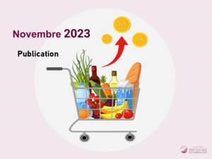 L’Indice des prix à la consommation (IPC). (Base 100 _ 2017 _ 100 أساس). Novembre 2023