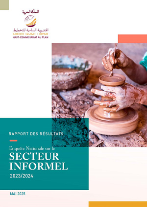 Rapport des résultats de l’Enquête Nationale sur le Secteur Informel 2023/2024, Mai 2025
