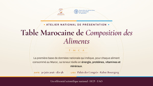 Nutrition et sécurité alimentaire : le HCP et la FAO présentent la Table Marocaine de Composition des Aliments