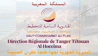 Mise en ligne de la Base de Données Statistique de Tanger / BDS-Tanger