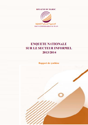 Enquête nationale sur le secteur informel 2013/2014