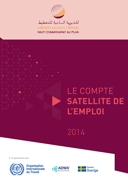 Présentation des travaux de la rencontre sur le compte Satellite de l'emploi, 2014