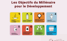 Journée de réflexion sur le concept d’Etat développementiste, l’émergence du Sud global et l’examen de la phase post-Objectifs du Millénaire pour le Développement (OMD). Journée de réflexion sur le concept d’Etat développementiste, l’émergence du Sud global et l’examen de la phase post-Objectifs du Millénaire pour le Développement (OMD).