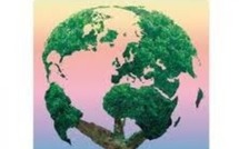 La Comptabilité environnementale