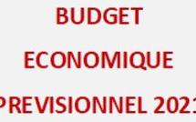 Budget économique prévisionnel 2021 : Situation économique en 2020 et ses perspectives en 2021