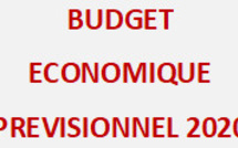 Le budget économique prévisionnel 2020 : La situation économique en 2019 et ses perspectives en 2020