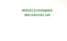 Budget économique prévisionnel 2009