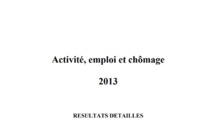 Activité, emploi et chômage, résultats détaillés, 2013