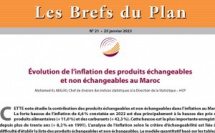 Les Brefs du Plan N° 21 - 25 Janvier 2023