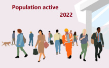Note d’information relative aux principales caractéristiques de la population active occupée en 2022