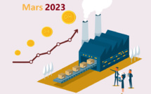 L’indice des prix à la production industrielle, énergétique et minière (IPPI) du mois de Mars 2023