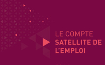 Compte satellite de l'emploi, 2014