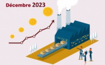 L’indice des prix à la production industrielle, énergétique et minière (IPPI) du mois de Décembre 2023