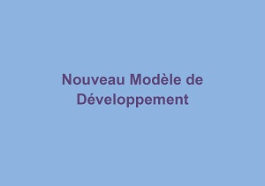 <BR>Nouveau Modèle de Développement<BR>