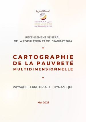 Cartographie de la pauvreté multidimensionnelle : paysage territorial et dynamique<BR>