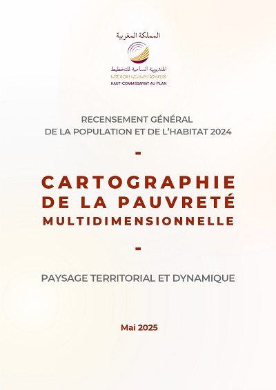Cartographie de la pauvreté multidimensionnelle : paysage territorial et dynamique<BR>
