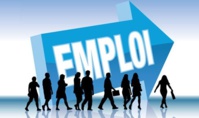 Principaux résultats relatifs aux nouvelles thématiques couvertes par l’enquête nationale sur l’emploi Principaux résultats relatifs aux nouvelles thématiques couvertes par l’enquête nationale sur l’emploi