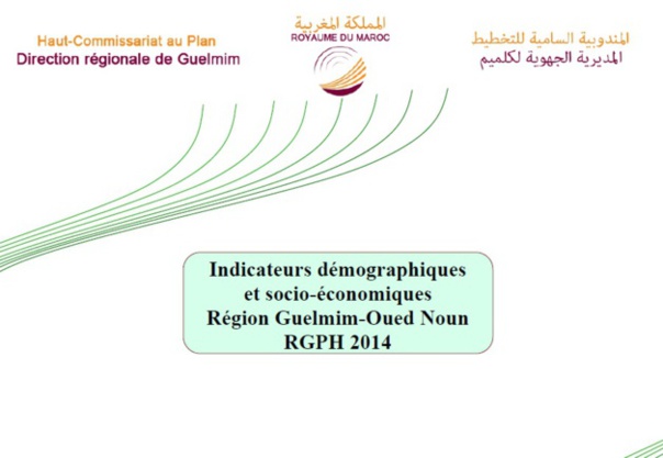 Indicateurs démographiques et socio-économiques région guelmim oued noun Indicateurs démographiques et socio-économiques région guelmim oued noun
