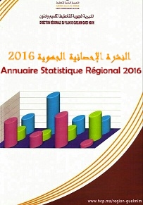                                                                       النشرة الاحصائية السنوية لجهة كلميم وادنون 2016