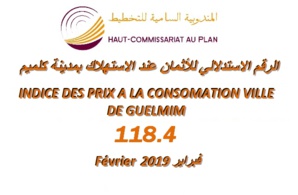 INDICE DES PRIX À LA CONSOMMATION DANS LA VILLE DE GUELMIM MOIS FEVRIER 2019