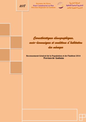 Caractéristiques démographiques et socio économiques Province de GUELMIM RGPH 2014