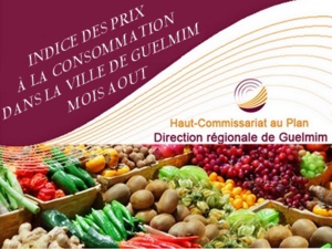 INDICE DES PRIX À LA CONSOMMATION DANS LA VILLE DE GUELMIM MOIS AOUT 2020 INDICE DES PRIX À LA CONSOMMATION DANS LA VILLE DE GUELMIM MOIS AOUT 2020