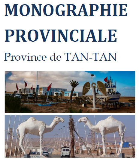 MONOGRAPHIE DE LA PROVINCE  DE TAN-TAN 2020