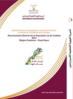 Caractéristiques démographiques et socio économiques région guelmim oued noun RGPH 2014