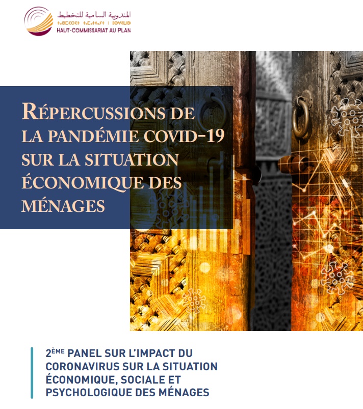 Répercussions de la pandémie covid-19 sur la situation économique des ménages ... 