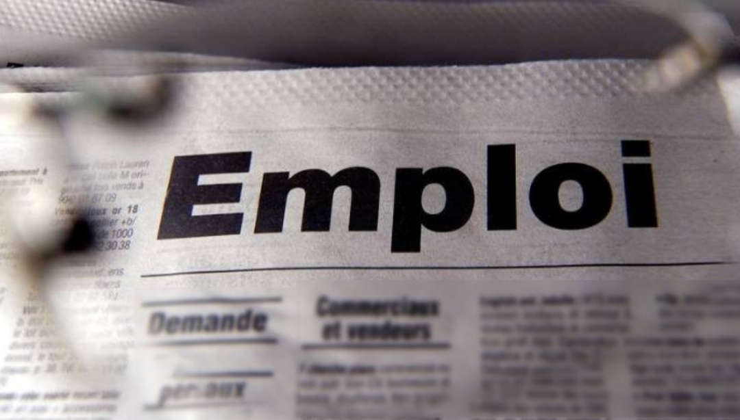 Activité, Emploi et Chômage Région de Guelmim Oued Noun  2019