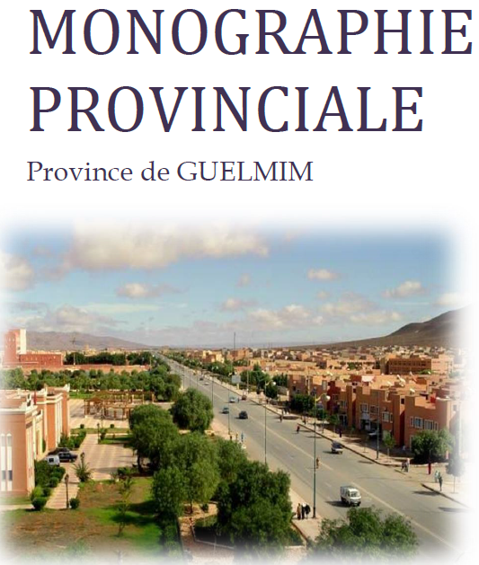 MONOGRAPHIE DE LA PROVINCE DE GUELMIM 2020