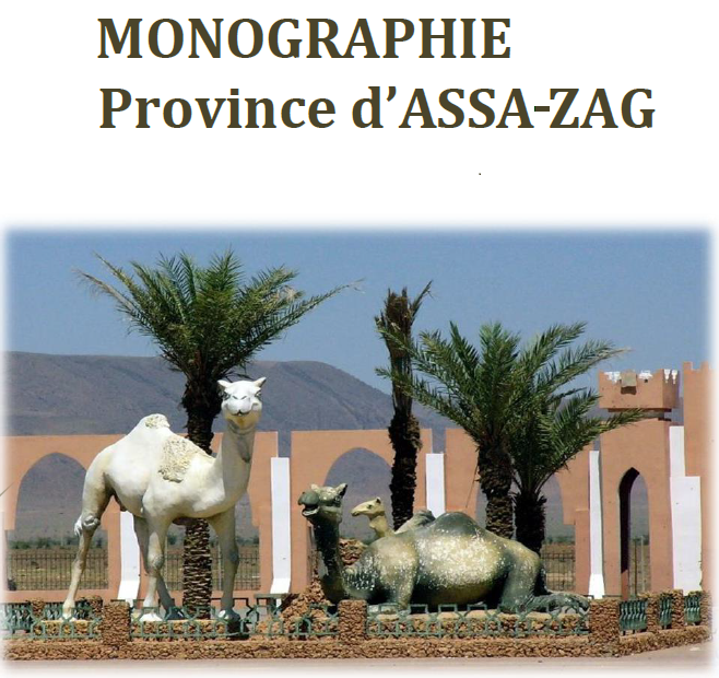 MONOGRAPHIE DE LA PROVINCE D'ASSA-ZAG 2020 MONOGRAPHIE DE LA PROVINCE D'ASSA-ZAG 2020