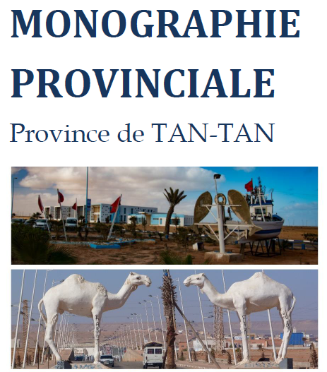 MONOGRAPHIE DE LA PROVINCE  DE TAN-TAN 2020