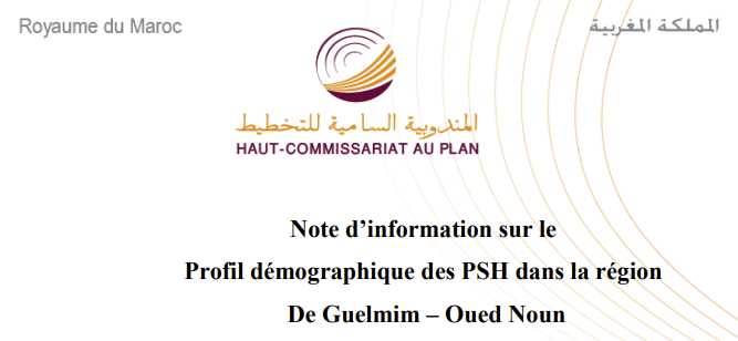 Note sur le profil démographique des handicapés dans la région de Guelmim-Oued Noun Note sur le profil démographique des handicapés dans la région de Guelmim-Oued Noun