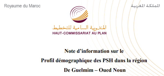 Note sur le profil démographique des handicapés dans la région de Guelmim-Oued Noun