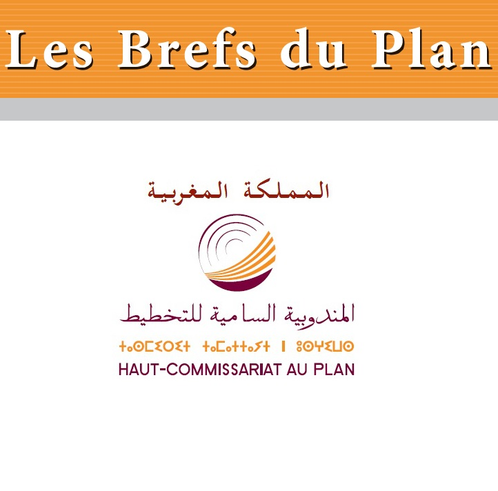 https://www.hcp.ma/search/brefs+du+plan/#gsc.tab=0