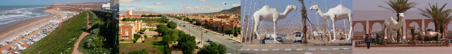 https://www.hcp.ma/region-guelmim
